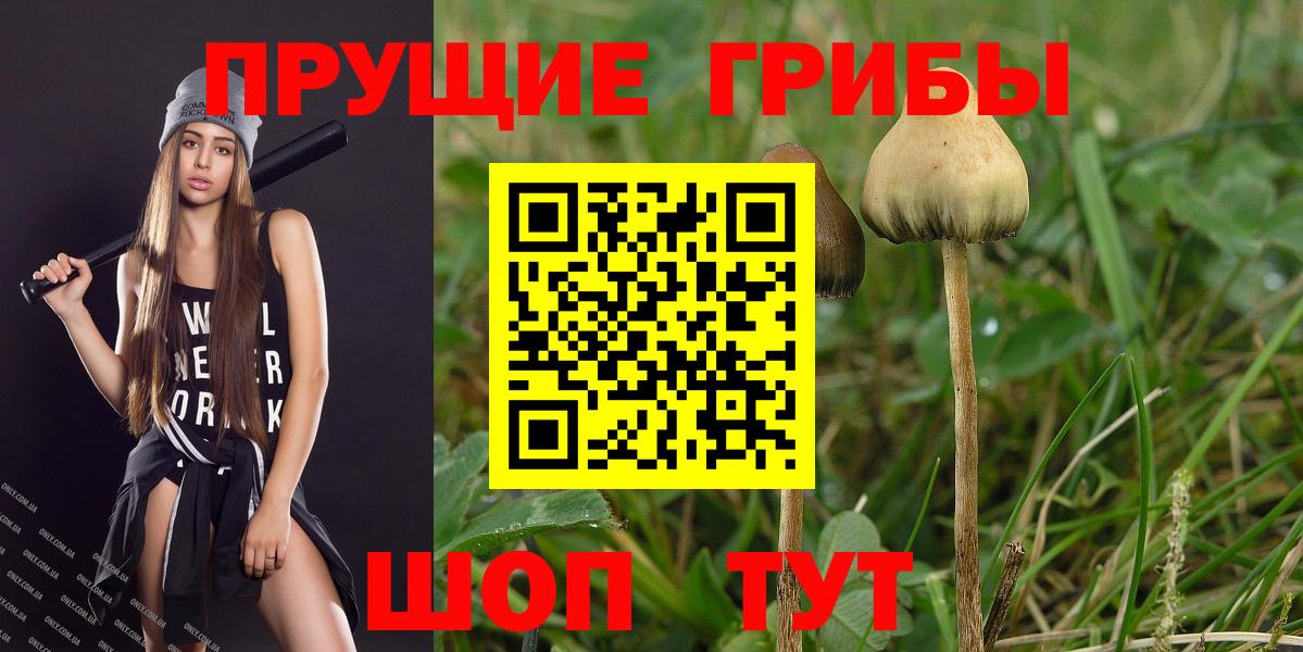 Галлюциногенные грибы GOLDEN TEACHER  купить   Лянтор  Вход с VPN 